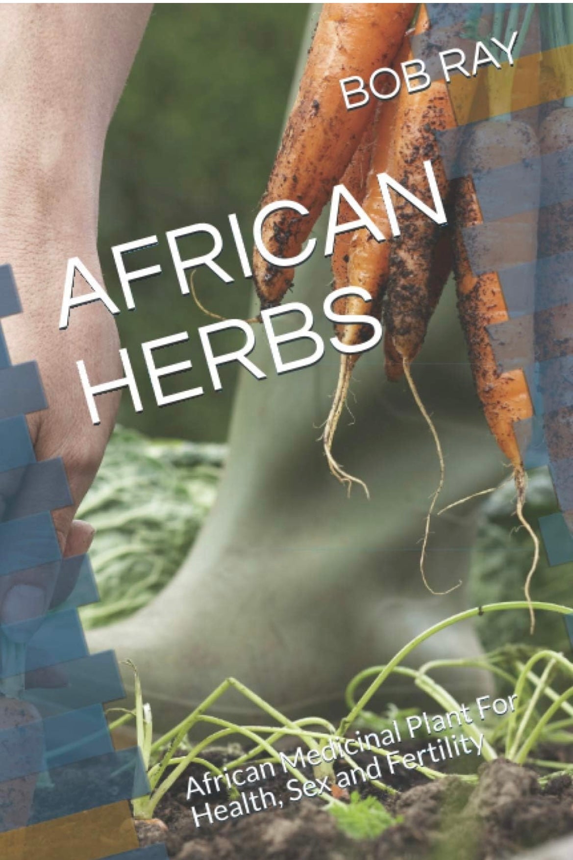 AFRICAN HERBS: African Medicinal Plants for  Health Sex amd Fertility by Bob Ray